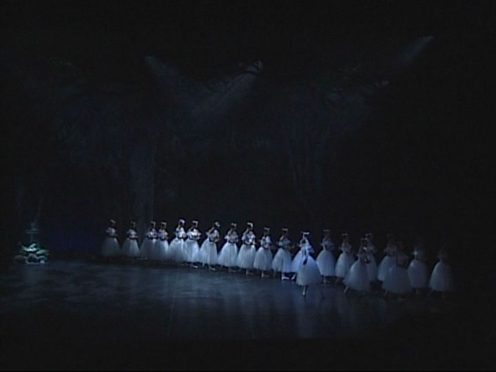 2007�N�����ʐ^01