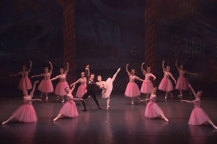 2009�N�����ʐ^