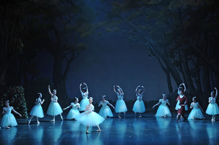 2011�N�����ʐ^