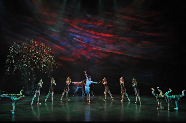 2011�N�����ʐ^