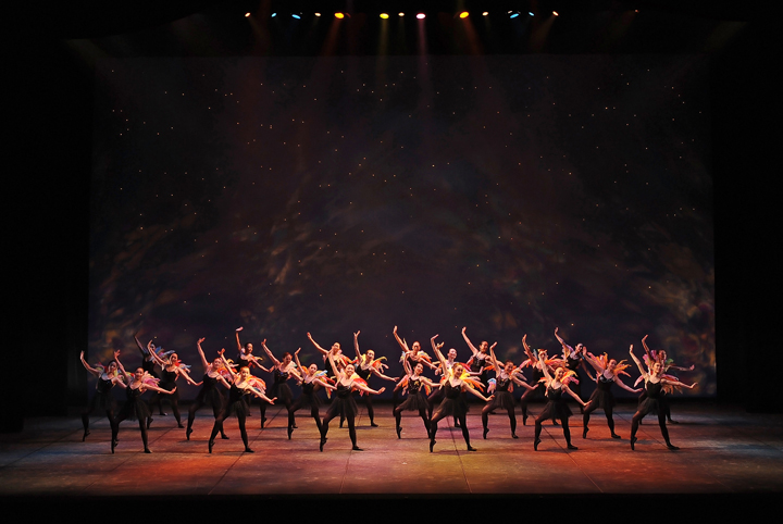 2014�N�����ʐ^