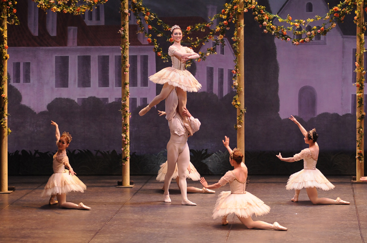 2014�N�����ʐ^