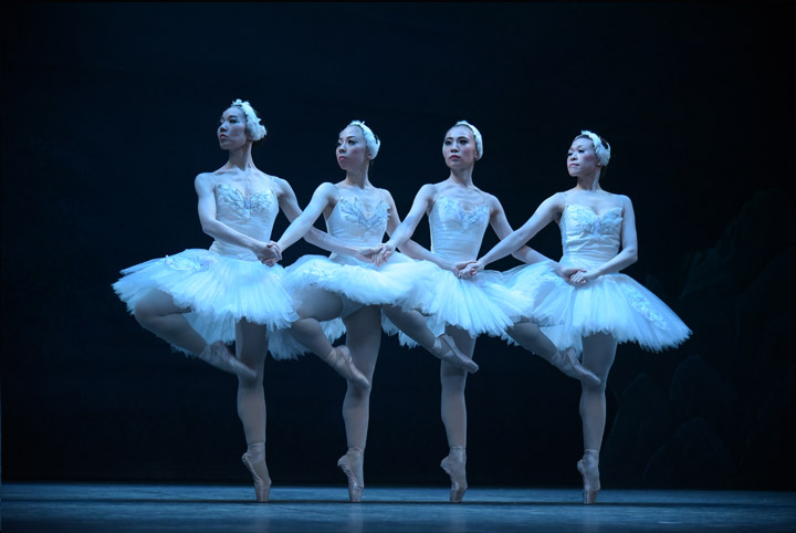 2016�N�����ʐ^