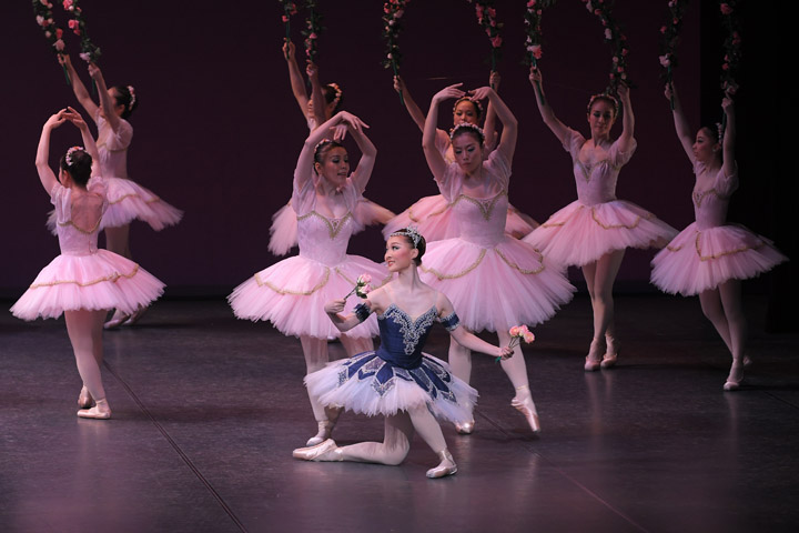 2017�N�����ʐ^