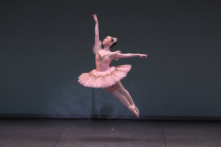 2017�N�����ʐ^