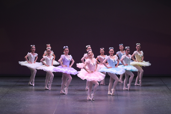 2017�N�����ʐ^