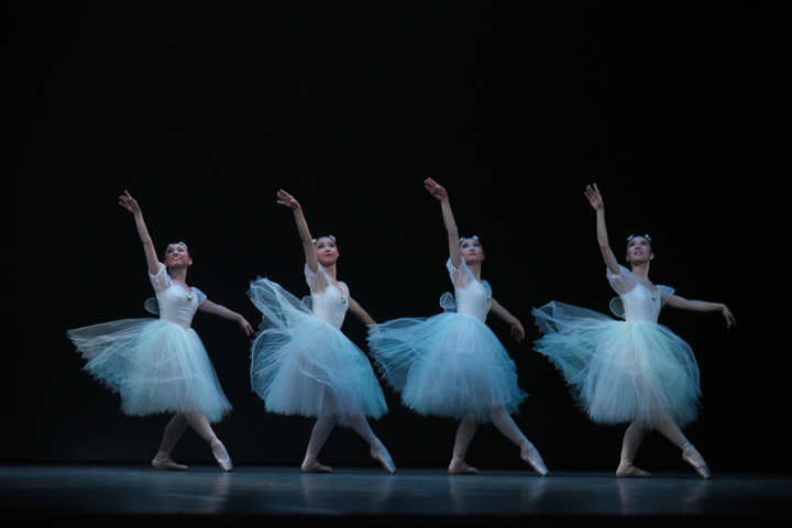 2017�N�����ʐ^