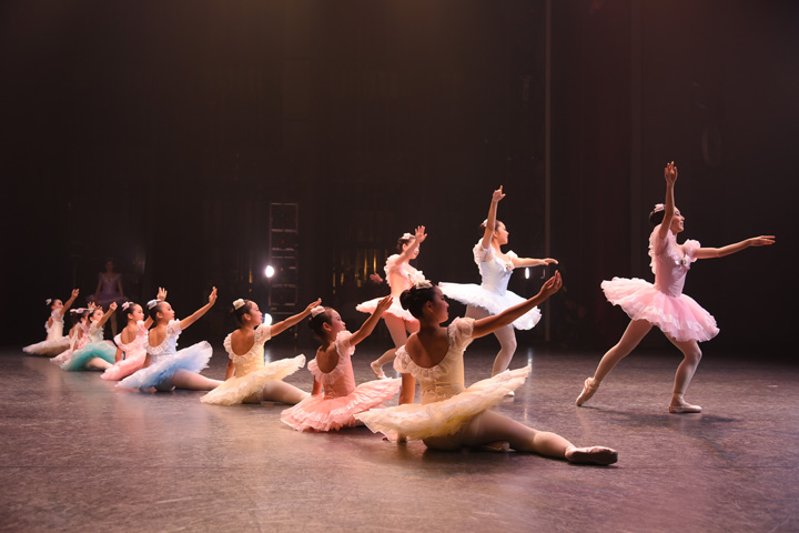 2017�N�����ʐ^