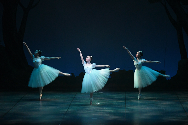 2019�N�����ʐ^