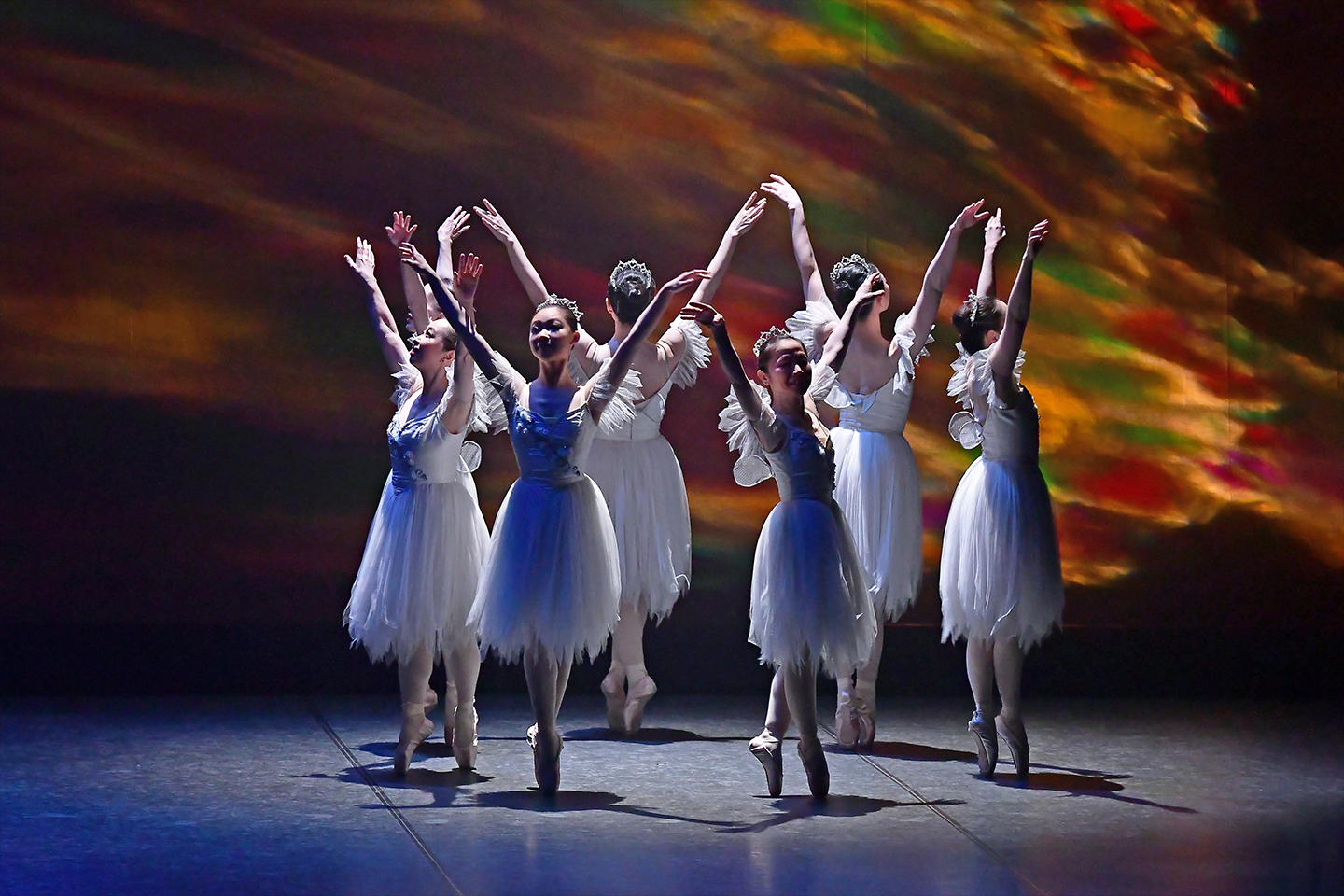 2024�N�����ʐ^