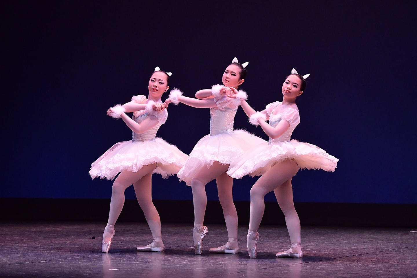 2024�N�����ʐ^