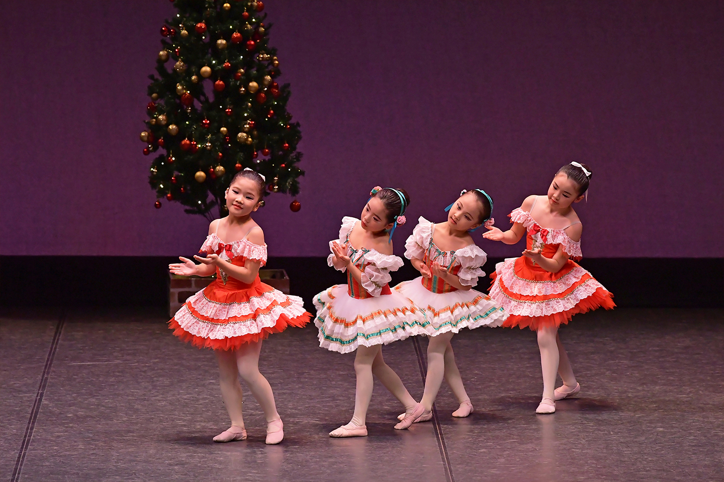 2024�N�����ʐ^