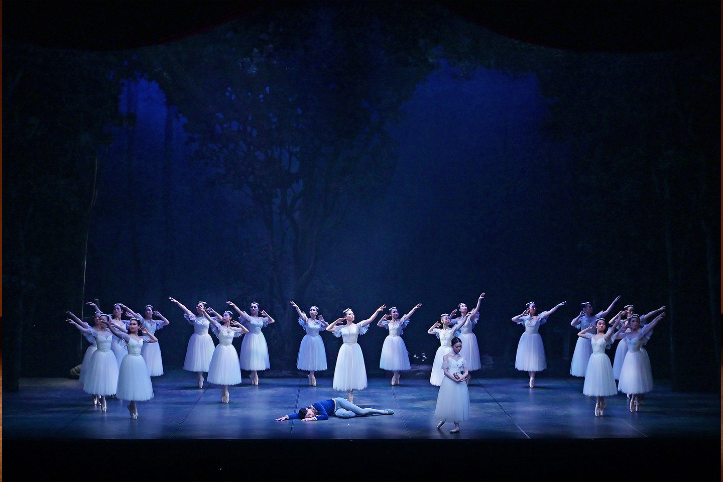 2024�N�����ʐ^