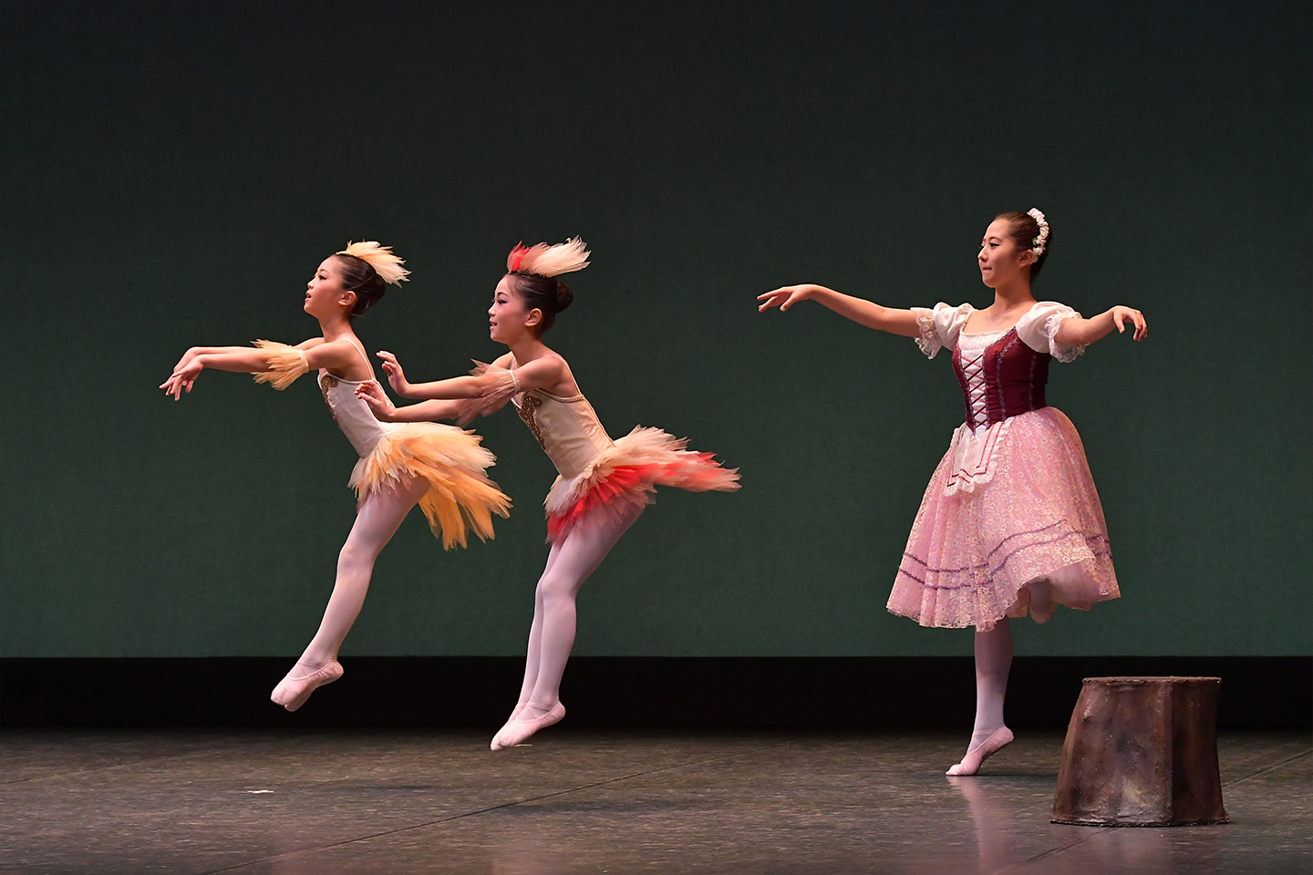 2025�N�����ʐ^